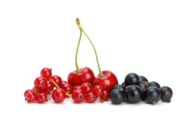 Redcurrants,blackcurrants and cherries — Stock Photo, Image