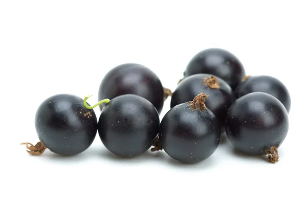 Några svarta vinbär — Stockfoto