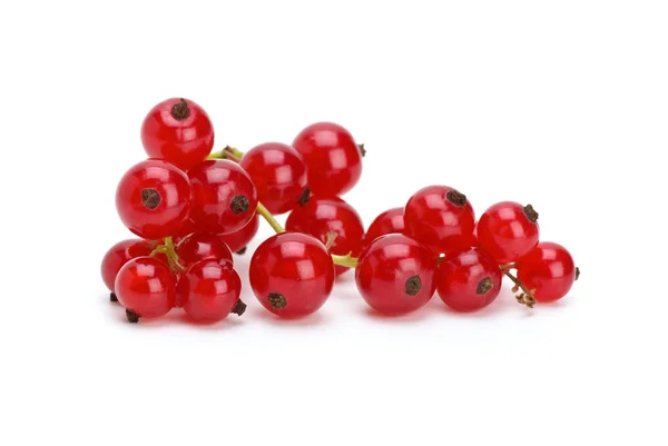 Claster of red currants — Stock Photo, Image