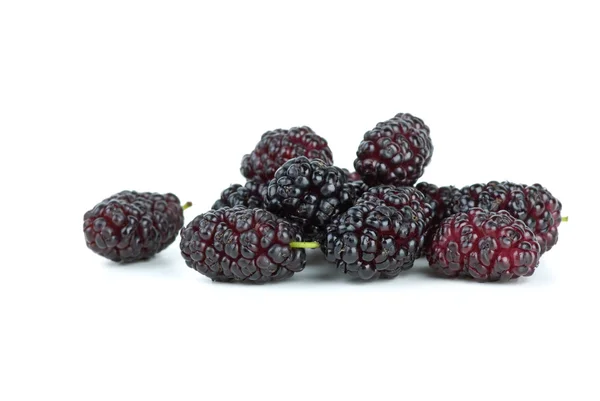 몇 블랙 mulberries — 스톡 사진