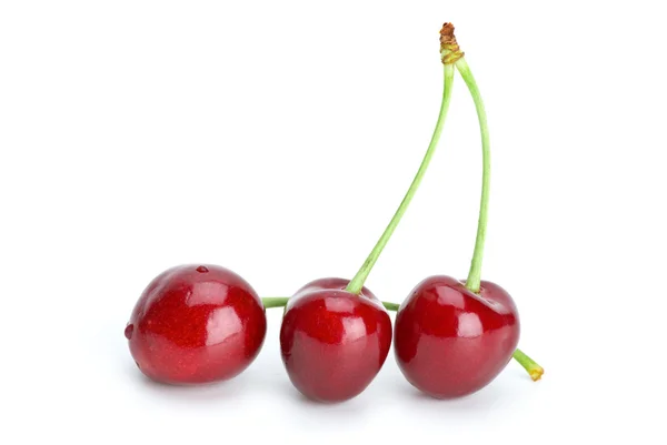 세 개의 붉은 열매 — 스톡 사진