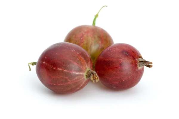 Macro shot of three red gooseberries — Stock Photo, Image
