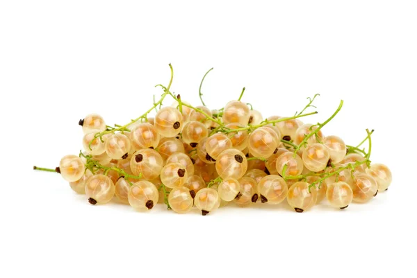 Pile of golden currants — Stock Photo, Image