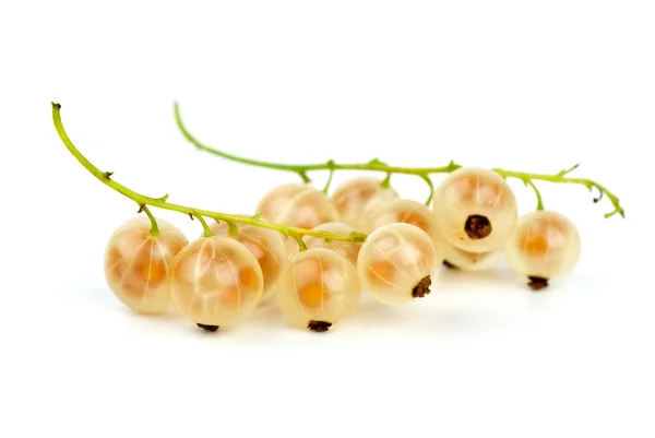 Some golden currants — Stock Photo, Image