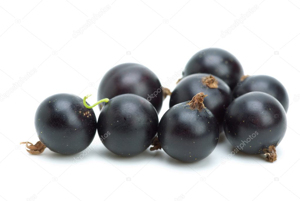 Some blackcurrants