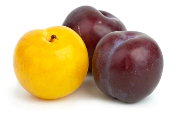 Two violet plums and one yellow — Stock Photo, Image