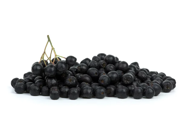 堆的黑色 chokeberries — 图库照片