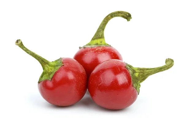 Três pimentas vermelhas redondas — Fotografia de Stock