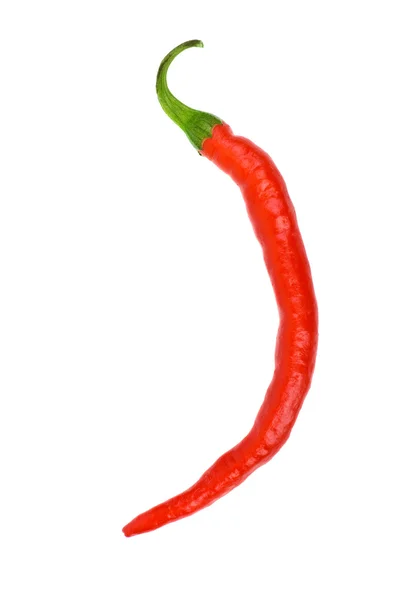 Pojedynczy czerwona papryczka chili — Zdjęcie stockowe