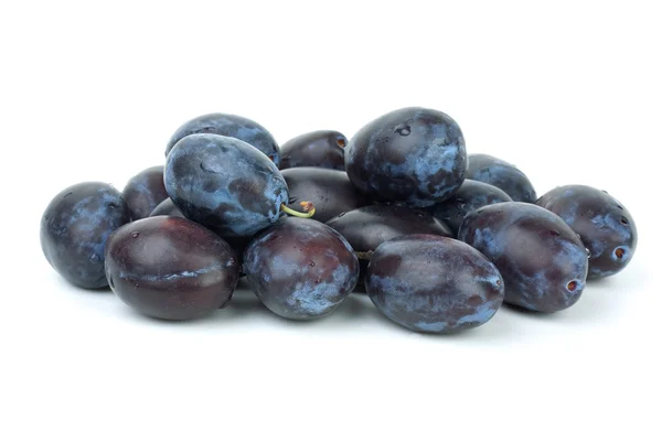 Pile of blue plums — Stock Photo, Image
