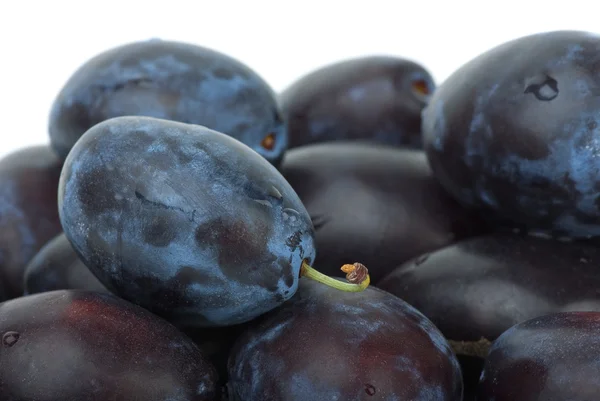 Gros plan sur les prunes bleues — Photo