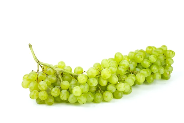 Пучок зеленого винограда без семян — стоковое фото