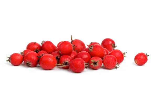Small pile of haw berries — Stock Photo, Image