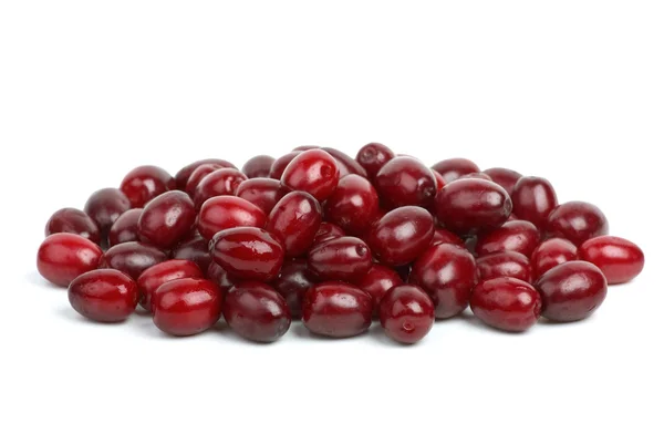 Small pile of cornel berries — Stock Photo, Image