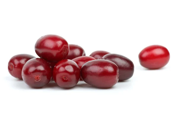 Few cornel berries — Stock Photo, Image