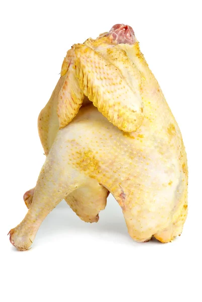 Ayam mentah. — Stok Foto