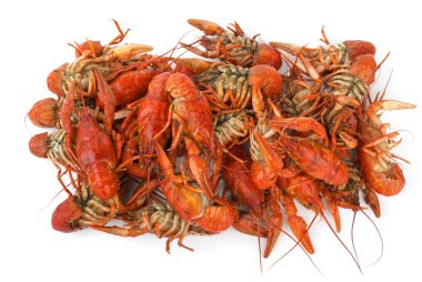 haşlanmış crawfishes yığını