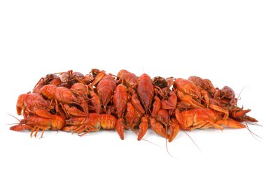 haşlanmış crawfishes yığını