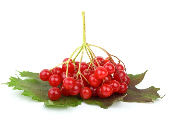 Виноградна кістка ягоди і листя — стокове фото