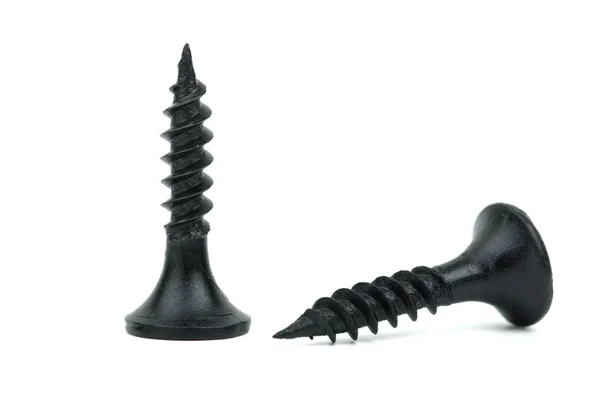 Two black metal screws — Stock Photo, Image