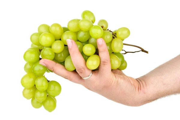 Hand holding green grapes. Isolated on the white background — Stock Photo, Image