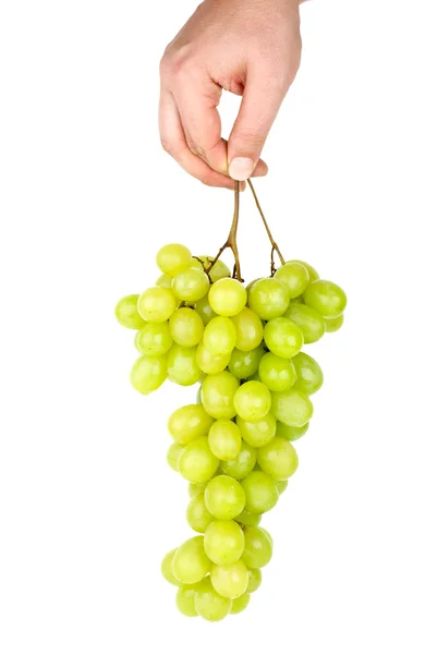 Main tenant un bouquet de raisins verts — Photo