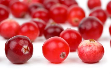 Cranberries portre