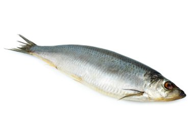 Salted herring clipart