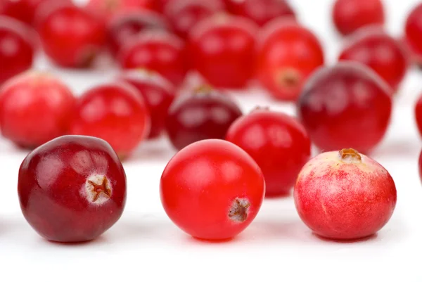 Cranberries closeup — Stock Photo, Image