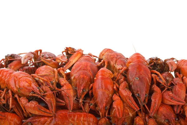 Haşlanmış crayfishes yığını — Stok fotoğraf