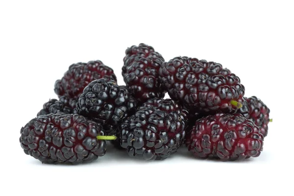 몇 가지 mulberries — 스톡 사진