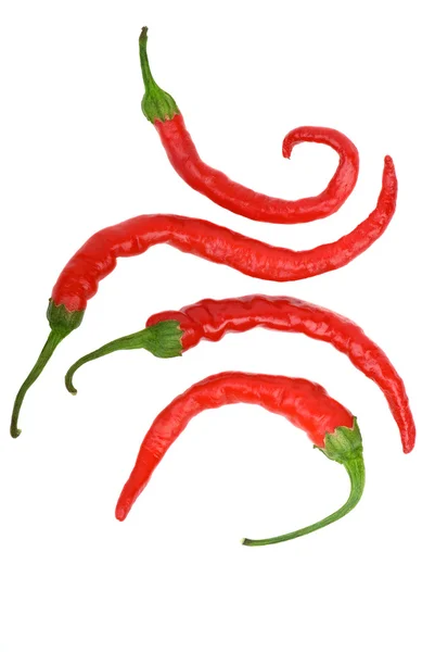 Čtyři křivé red hot chili papričky — Stock fotografie