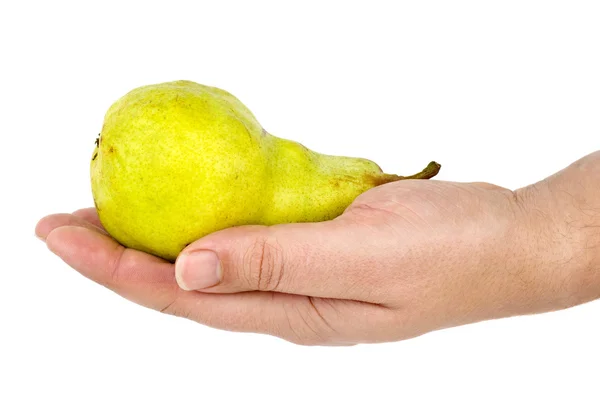 Green pear lie in palm — Stock Photo, Image
