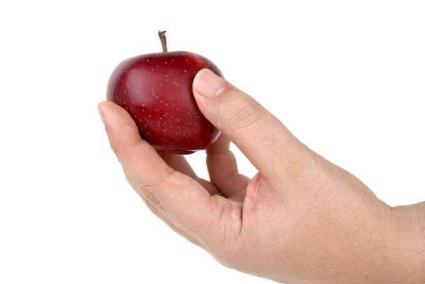 Ruka držící malé červené jablko — Stock fotografie