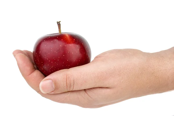 La mela rossa giace in palma — Foto Stock