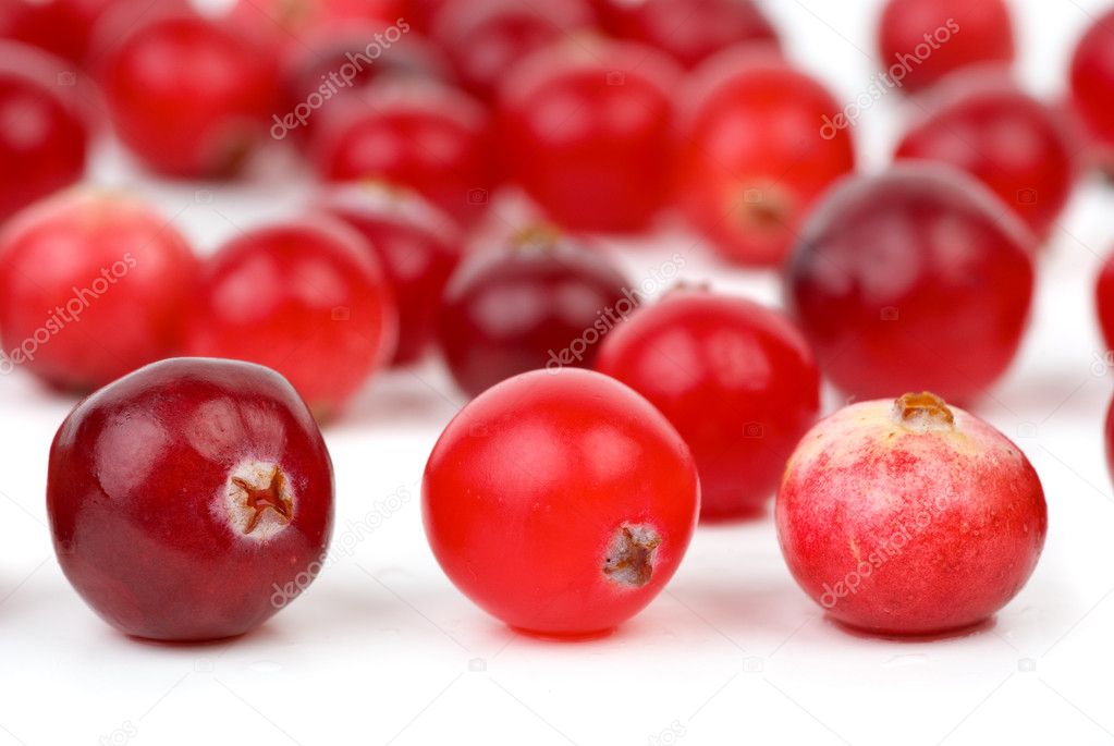 Cranberries closeup