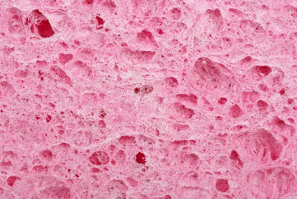 stock image Abstract background: sponge close-up