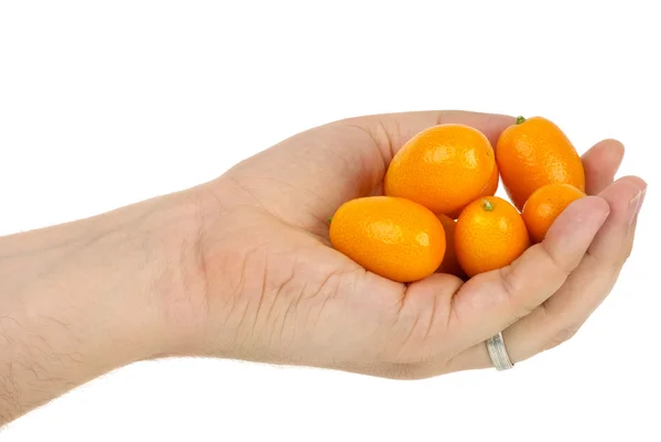 Hand holding some kumquat fruits — Stock Photo, Image