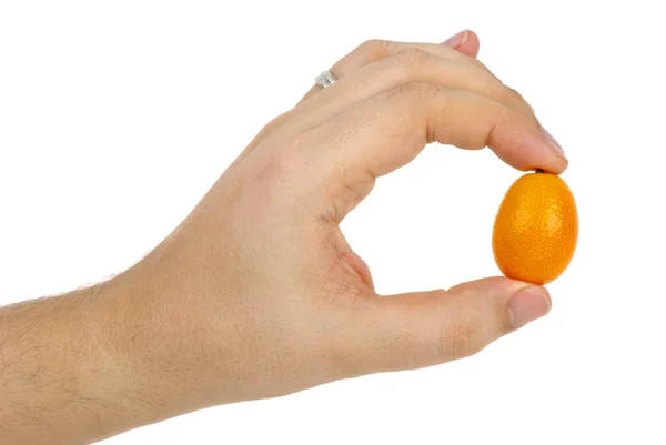 Kumquat fruit in hand — Stock Photo, Image