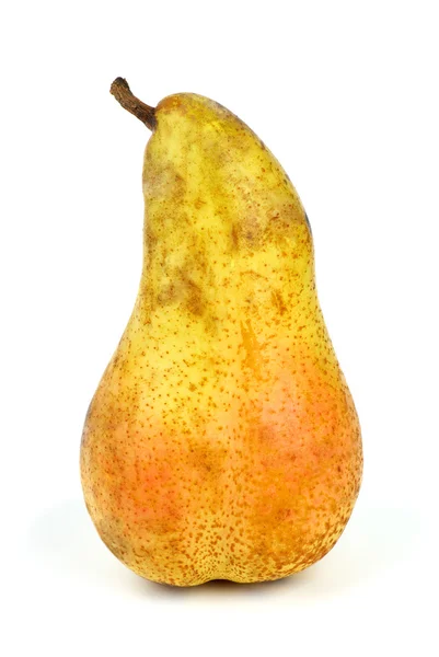 Long yellow pear — Stock Photo, Image