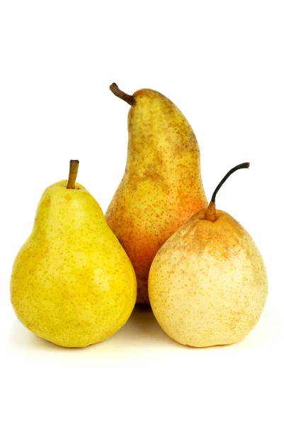 Three pears of different breads — Stock Photo, Image