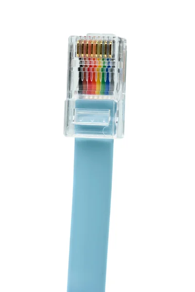 Mavi patchkord kablo rj45 konnektör ile ağ — Stok fotoğraf