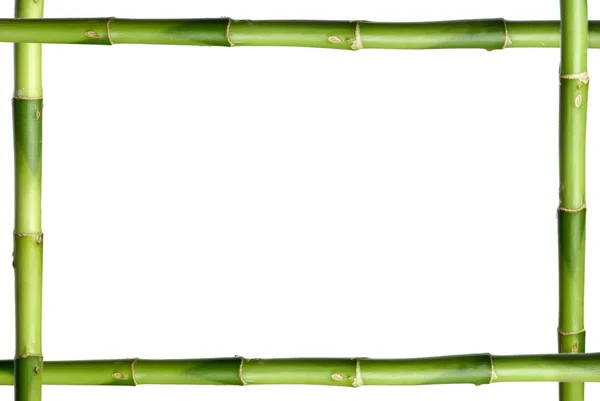 Groene bamboe stok frame Rechtenvrije Stockfoto's