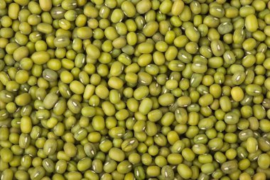 Green mung beans clipart