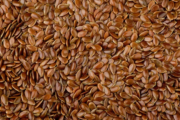 Семена льна — стоковое фото
