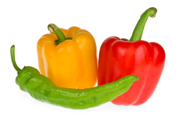 Bell and chili peppers — Stock Photo, Image