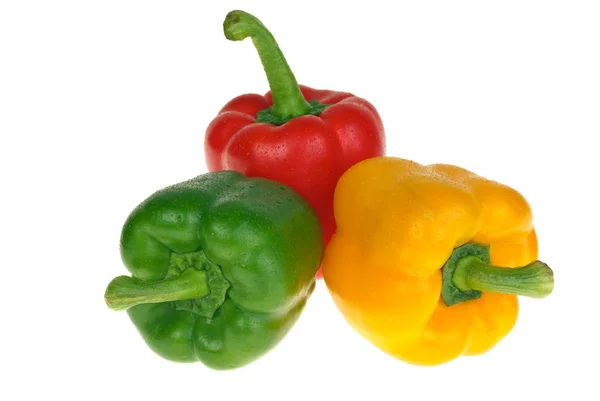 Piros, sárga és zöld paprika — Stock Fotó