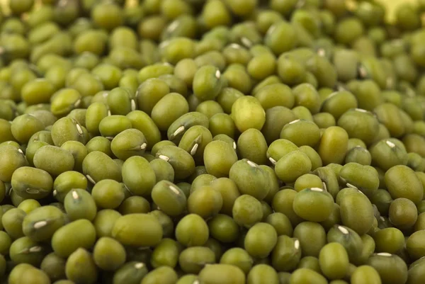 녹색 녹두 콩 — 스톡 사진