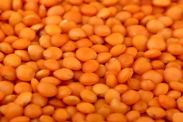 Red "football" lentils — Stock Photo, Image