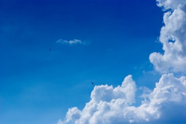 Beaytiful blue skies with white clouds clipart